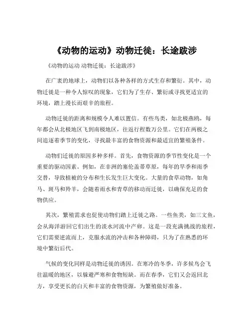 《动物的运动》动物迁徙：长途跋涉