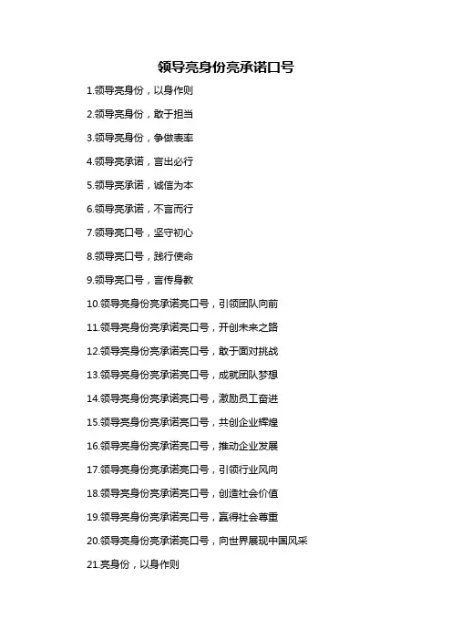 领导亮身份亮承诺口号-概述说明以及解释