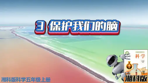 新版湘科版科学五年级上册-1-3-保护我们的脑(第一单元我们的脑)-PPT课件