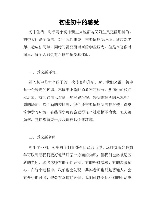 初进初中的感受