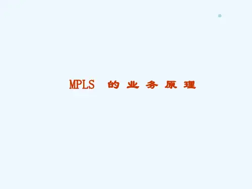 MPLS_中兴培训教材