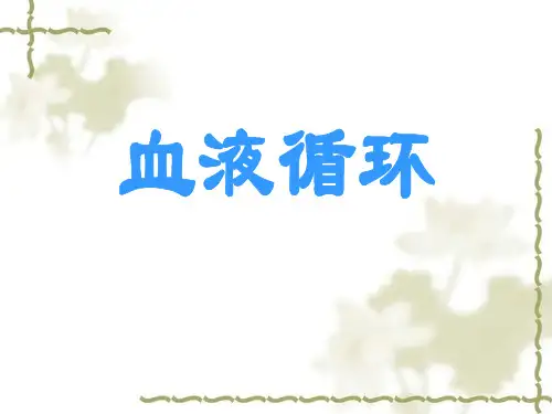 血液循环 课时ppt课件