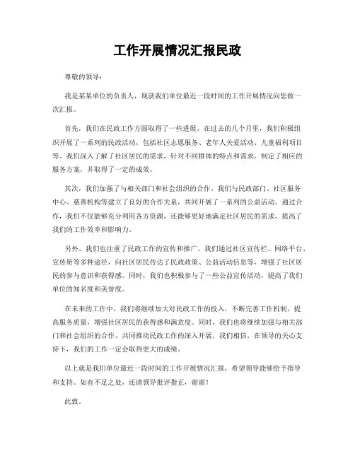 工作开展情况汇报民政
