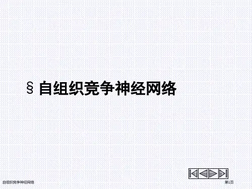 自组织竞争神经网络
