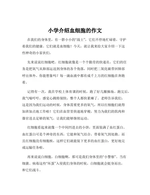 小学介绍血细胞的作文