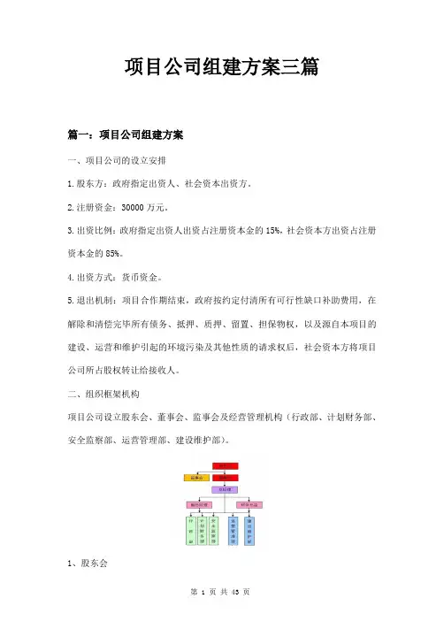 项目公司组建方案三篇