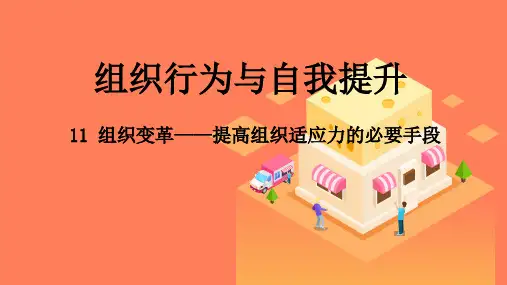 11 组织变革组织行为与自我提升 (1)