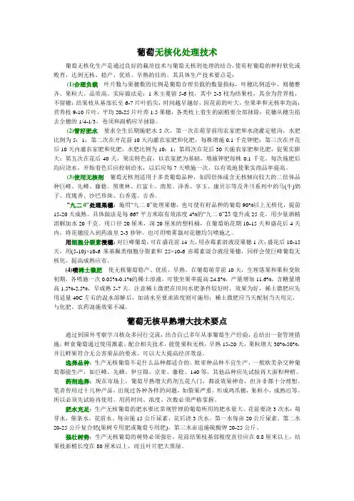 无核处理