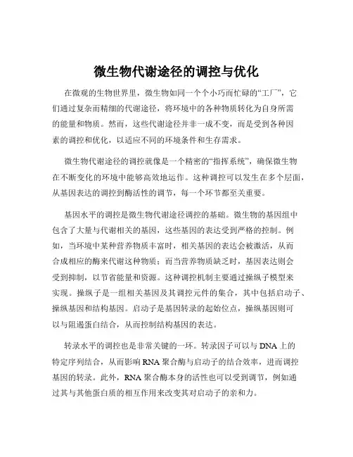 微生物代谢途径的调控与优化
