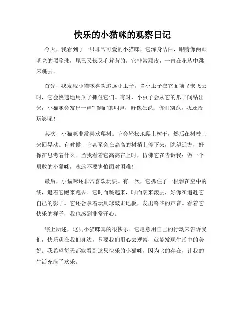小学三年级作文快乐的小猫咪的观察日记