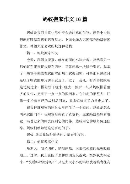 蚂蚁搬家作文16篇