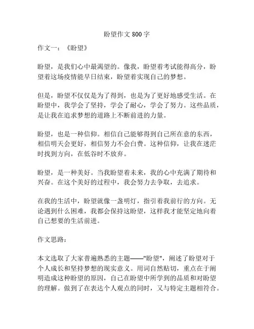 盼望作文800字