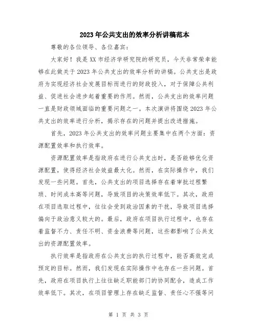 2023年公共支出的效率分析讲稿范本