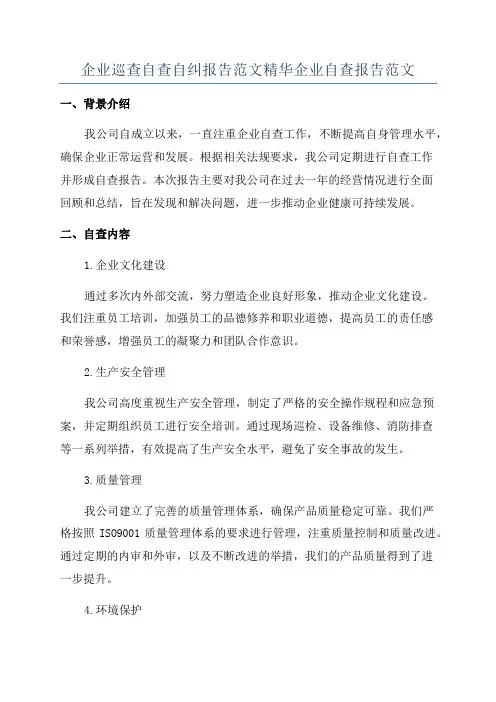 企业巡查自查自纠报告范文精华企业自查报告范文