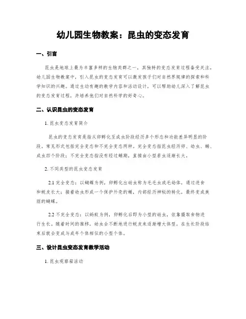 幼儿园生物教案：昆虫的变态发育 (2)