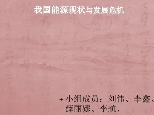我国能源现状及发展危机 ppt课件