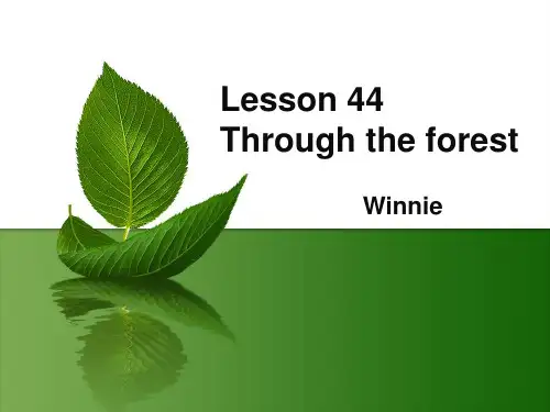 第二册新概念英语NCE2_Lesson44 Through the forest(共29页)最新精品课件.ppt