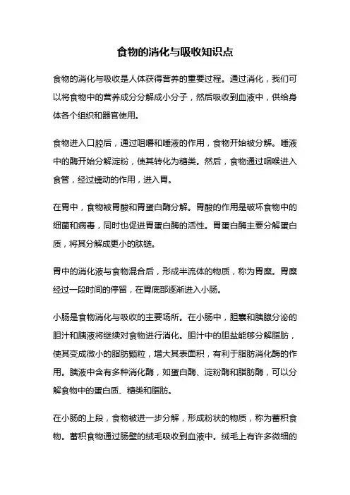 食物的消化与吸收知识点