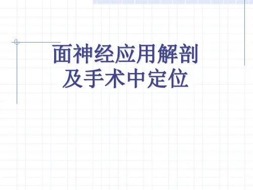 面神经解剖及手术中定位课件