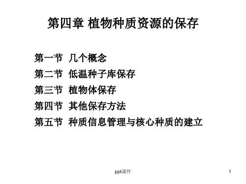 种质资源保存 ppt课件