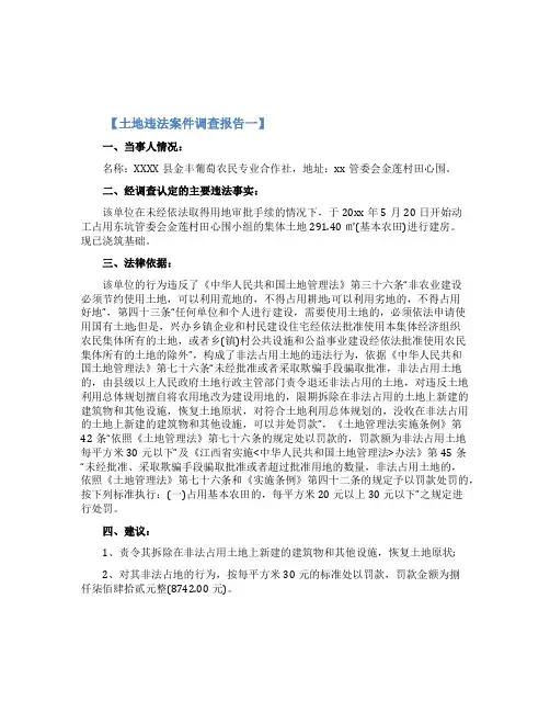 土地违法案件调查报告