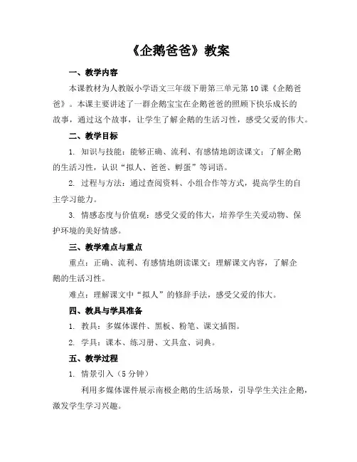 《企鹅爸爸》教案