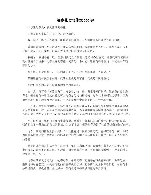 迎春花仿写作文300字
