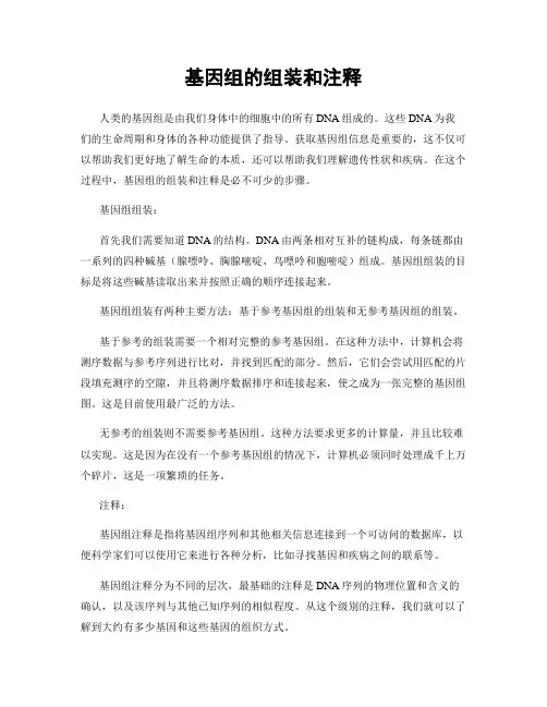基因组的组装和注释