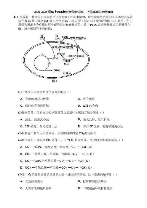 2023-2024学年上海市复旦大学附中高二上学期期中生物试题
