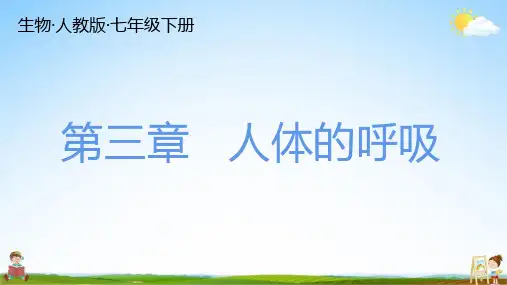 人教版七年级生物下册 第三章 总复习 练习题教学课件PPT初一公开课