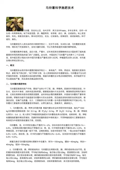 马铃薯科学施肥技术