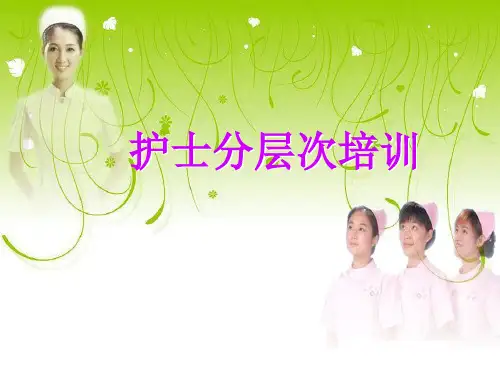 护士分层次 培训 PPT课件
