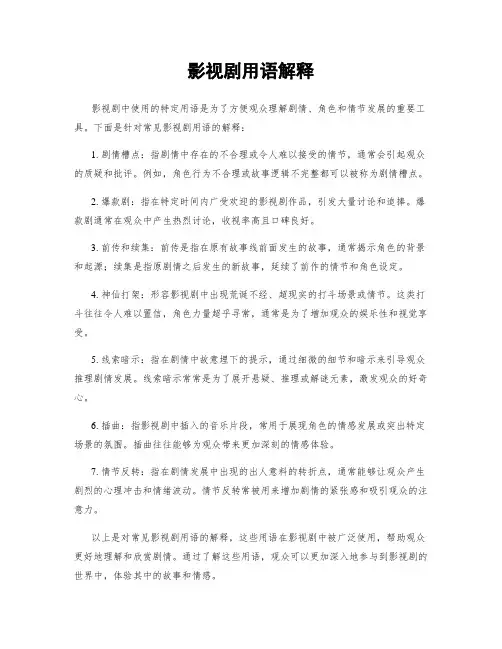 影视剧用语解释