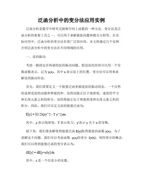 泛函分析中的变分法应用实例