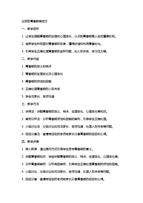 壮丽的青春教案范文