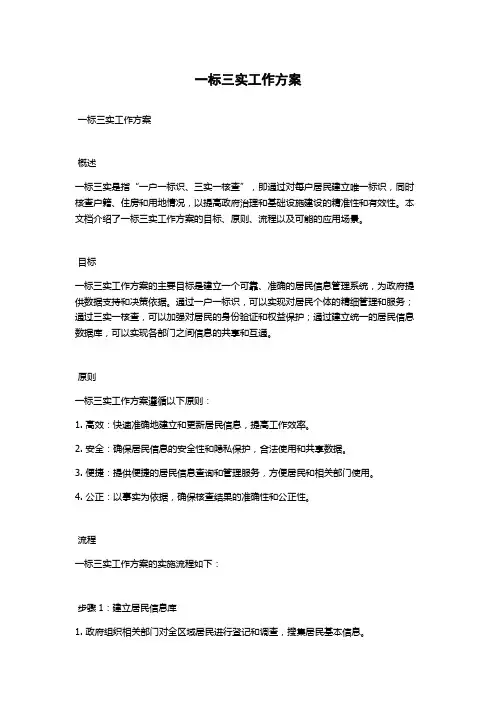 一标三实工作方案