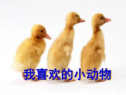 五年级上册语文课件-写作指导4 写一种动物 湘教版(共22张PPT)
