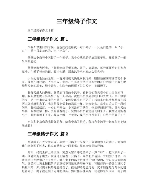 三年级鸽子作文