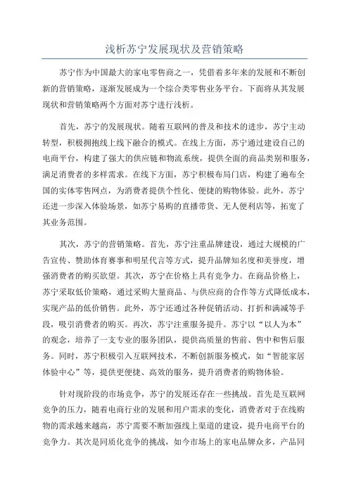 浅析苏宁发展现状及营销策略