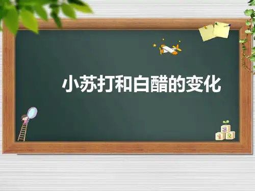 小苏打和白醋的变化PPT