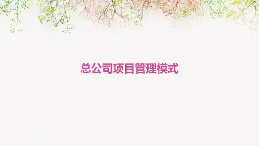 总公司项目管理模式