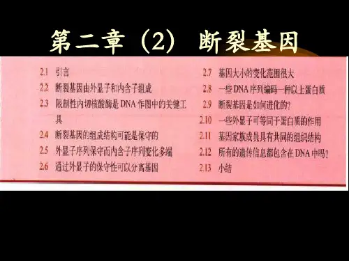 第二章 基因的概念与结构(2)断裂基因