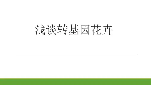 浅谈转基因花卉 