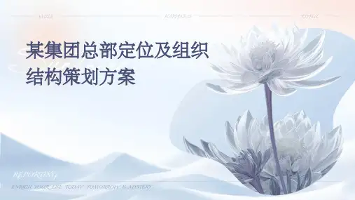 某集团总部定位及组织结构策划方案