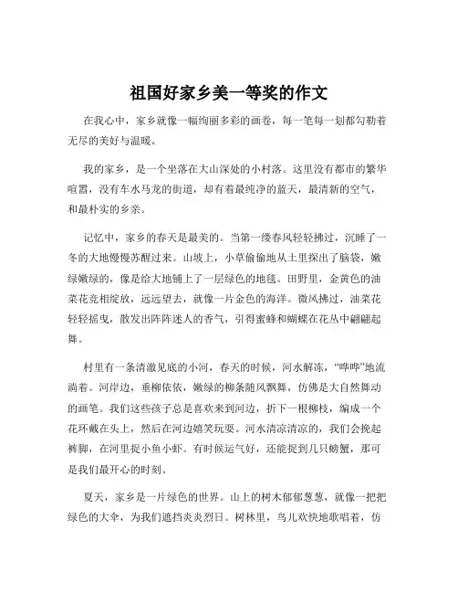祖国好家乡美一等奖的作文