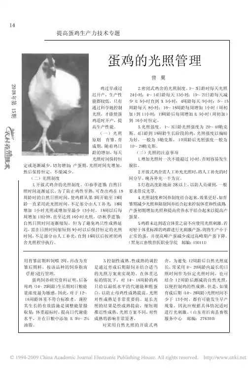蛋鸡的光照管理