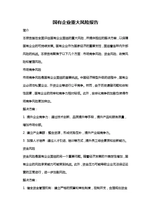 国有企业重大风险报告