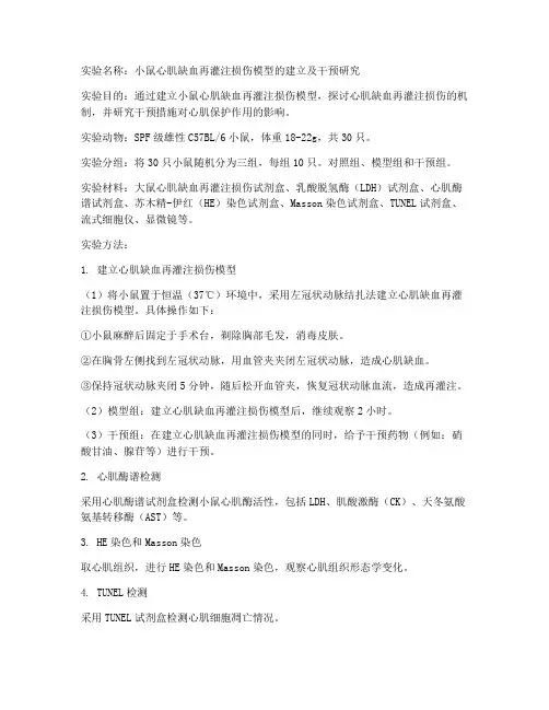 动物实验报告范文