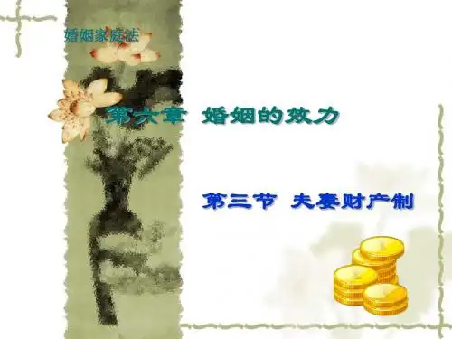 夫妻财产制