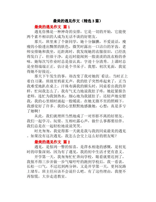 中小学《最美的遇见》作文(精选3篇)